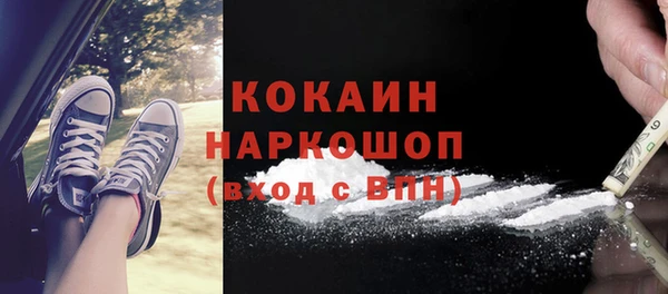 стафф Аркадак