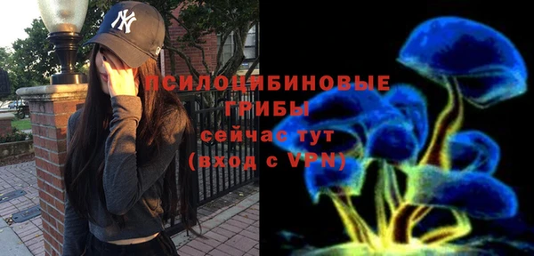 мескалин Пестово