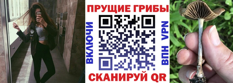 купить закладку Харабали blacksprut зеркало Псилоцибиновые грибы мухоморы